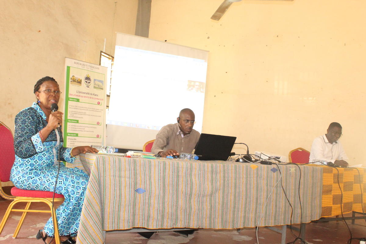 Cairn.info présentée à l’UK