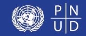 PNUD