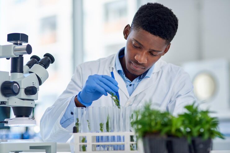 Recherche en laboratoire agronomique